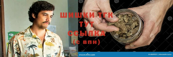 соль ск Строитель