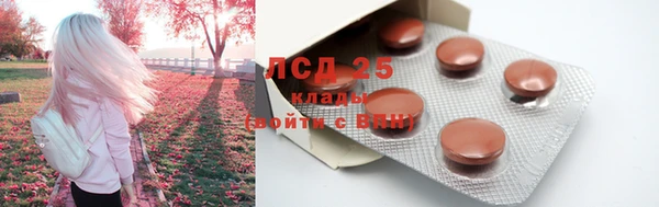 ALPHA PVP Беломорск