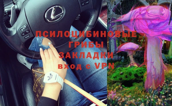 гидра Белоозёрский