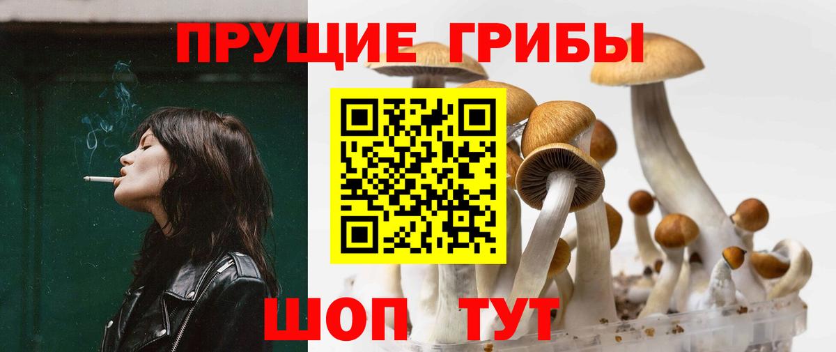 Псилоцибиновые грибы MAGIC MUSHROOMS Валуйки